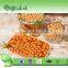 Chinese food stuff 400g canned soybean in tomato sauce