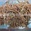 high quality red ginseng ginseng buyers