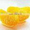 Zhenjiang high quality mandarin orange sacs for orange juice