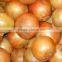 fresh yellow and red onion(A variety of specifications) mesh bag packing