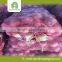 Fresh Yellow Onion in Bulk