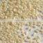 Sesame seeds