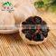Losing Weight Aged Garlic Bulb Cloves Spawn