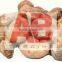 Best Price Raw Cashew Nuts From West Africa / Good Quality