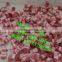 commercial frozen meat cube machine/frozen meat cutting machine/small meat cutting machine