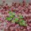 commercial frozen meat cube machine/frozen meat cutting machine/small meat cutting machine