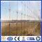 high quality Field fence factory with best price