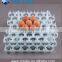 2016 tray new with 42 holes plastic egg tray