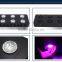 540W COB LED Panel Grow Light System Full Spectrum For Plant Replace HPS Lamp
