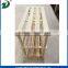 Simple Modern Shoe Rack Storage Rack