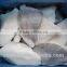 Frozen John Dory fillets skin on/off