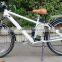 easy ride brushless hub motor electric bike with CE certificate