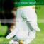 Factory Price White Golf glove Manufacture in European