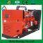 10KW Popular New Energy  biogas generator