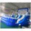 double lanes water slides/ocean theme inflatable water slide for sale