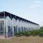 PC Sheet Agriculture Greenhouse Equipped with Misting System