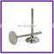 racing car titanium engine valve for lamborghini murcielago