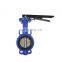 handle wormgear wafer type butterfly valve with stainless steel disc D71X-10/16