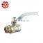 Professional Manufacture Competitive Price China Supplier Gas Brass Valve