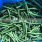 2021 New Crop Top Grade D 8 - 11mm 7 - 9 mm IQF Frozen Green Beans