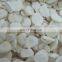 Sinocharm BRC A approved IQF Frozen Water chestnut slice