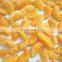 Sinocharm Frozen fruits  Mandarin orange segment L3-5cm Whole IQF Mandarin Orange
