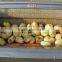 Garlic Peeling Machine/Fruit peeling machine