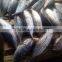 Frozen Skipjack Tuna