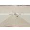 Large Big Giant 3M Market Cafe Umbrella
