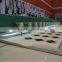 chain stitch embroidery machine /chenille/chain stitch/towel/ringlet embroidery machine