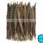 Wholesale Reeves pheasant tail feathers, Natural Pheasant Tail Feathers