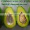 BEST SELLING FOR FRESH AVOCADO FRUIT FROM VIET NAM