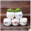 2016 Small ceramic & Enamel table garden pot table flower pot for succulent plants