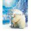 3D lenticular picture with flip effect,Hot Sale 3D Lenticular Picture of Animal