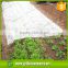 100% PP spunbond nonwoven agriculture fabric for garden /green plant /and flower use
