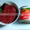 Jiangxi Bailin factory supply high concentrated 28-30% canned tomato paste