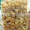 DRIED LONGAN FRUIT FOR SALE