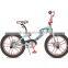2016 Saudi 20" bmx bike/fat tire bicycle/all kinds of price bmx bicycle for sale (PW-FS20313)