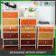 Mini Wooden Kitchen Cabinet