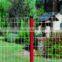 Green powder coated Euro welded mesh / holland fence