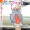 GFS-G1-15L portable car cleaning machine with 6m hose and 3m power cord