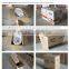 Washdown floor outlet 250 mm ceramic toilet pot