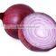 Hot sale fresh red onion with good quality for sale