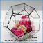 Charms fashion wholesale glass horse figurines with air plant