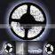DC 12V white LED lighting smd 5050 led strip rohs lamp waterproof