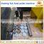 Floating fish feed granulator machine/ fish feed casting machine/ fish food making