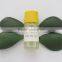 essential oil extract oil cactus seeds