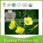 professional supplier gmp grade food supplement evening primrose seed oil