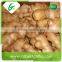 Dehydrated organic ginger