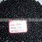 Small Black Bean Chinese Origin